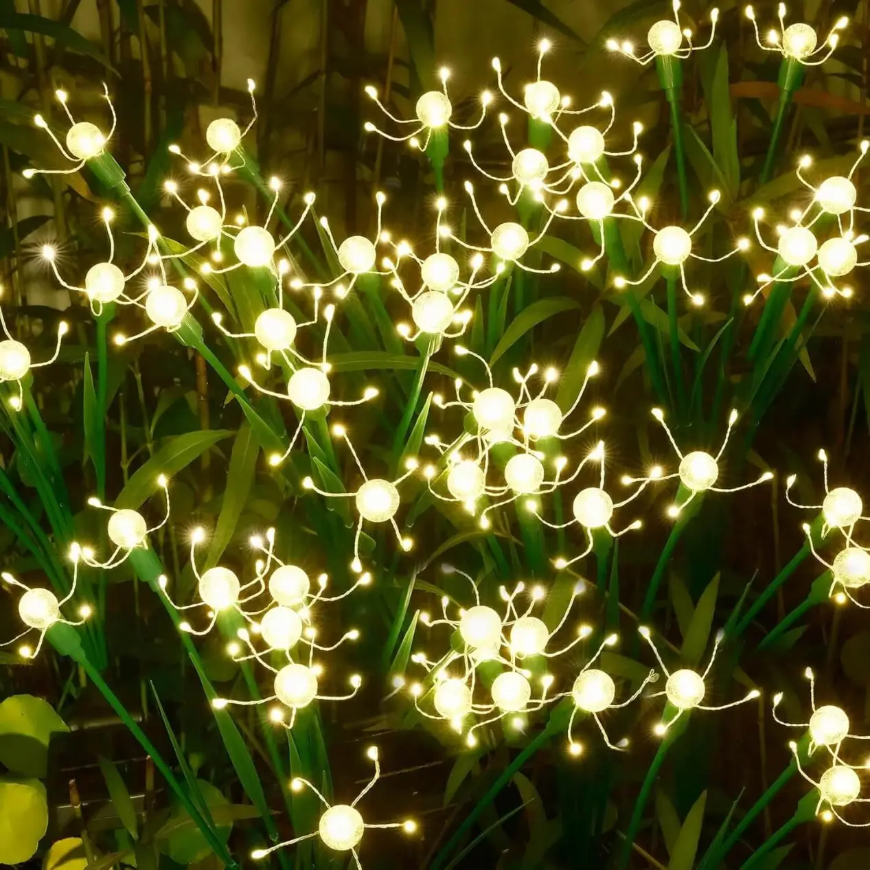 Creating a Dream Garden