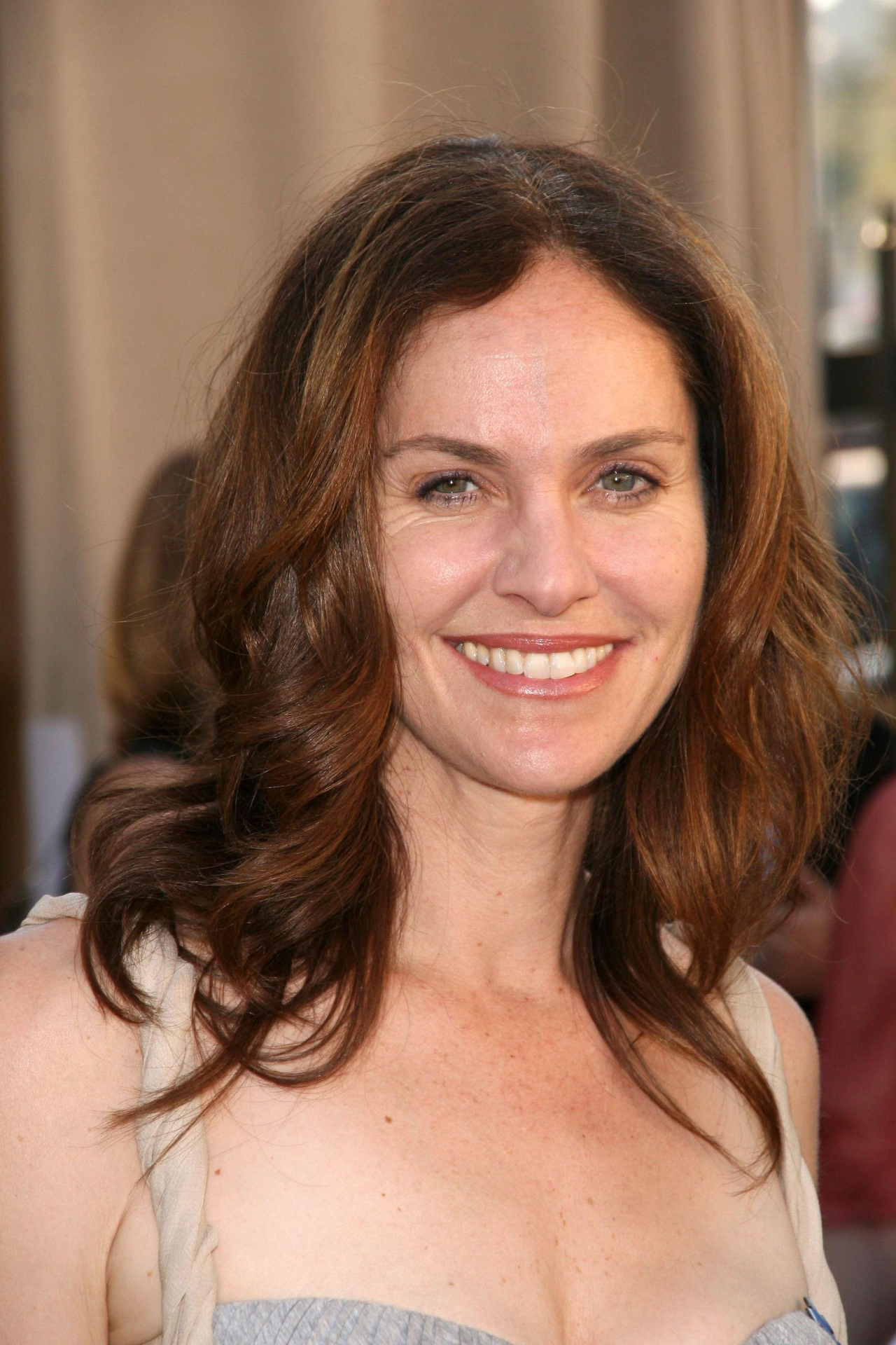 Who Is Amy Brenneman?