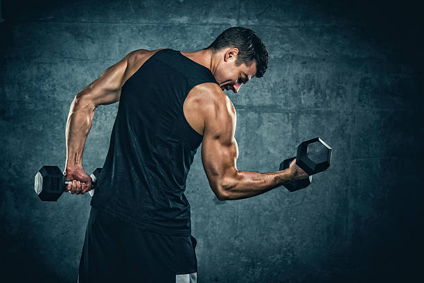 Dumbbell Exercises for Whole Body