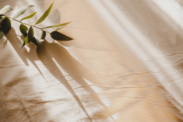 Exploring Eucalyptus Bedding Options