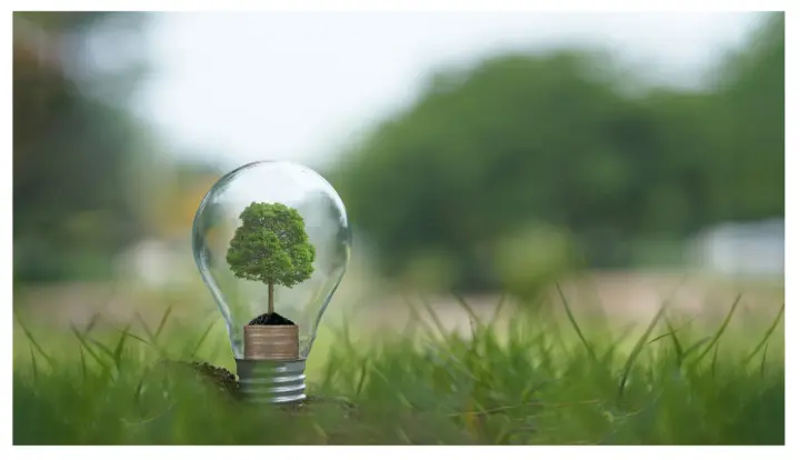 Why Focus on Energy Efficiency in Older Homes? 