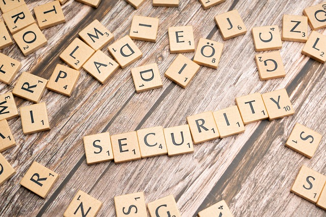  CIS Controls (Center for Internet Security)