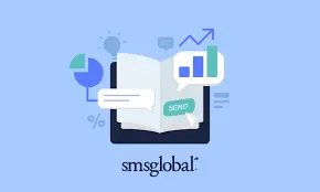 10687823963052 短信: Complete Guide to SMS Communications | bigwritehook